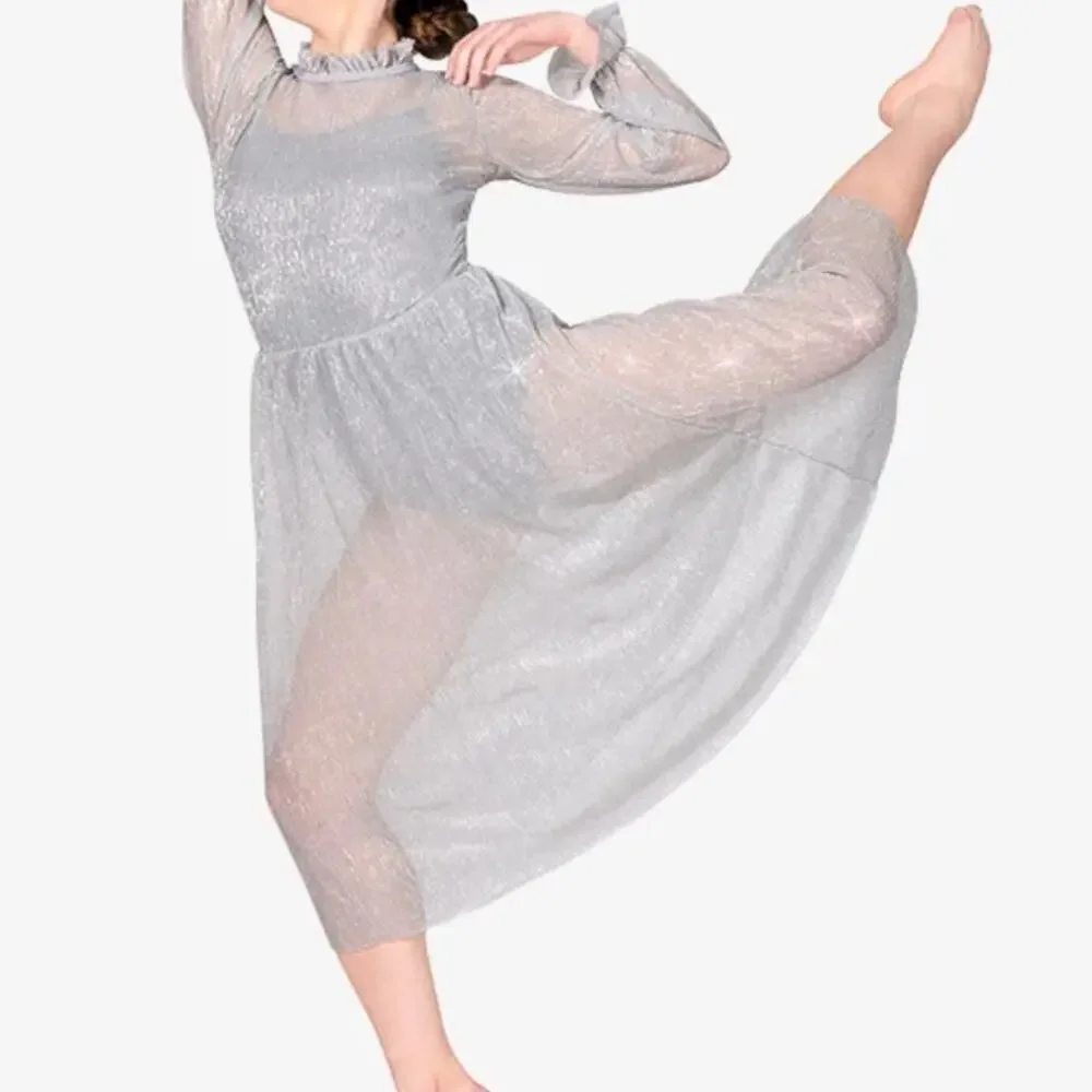 Double Platinum Silver Glitter sheer Mesh Long Sleeve Lyrical Dance Dress NWT